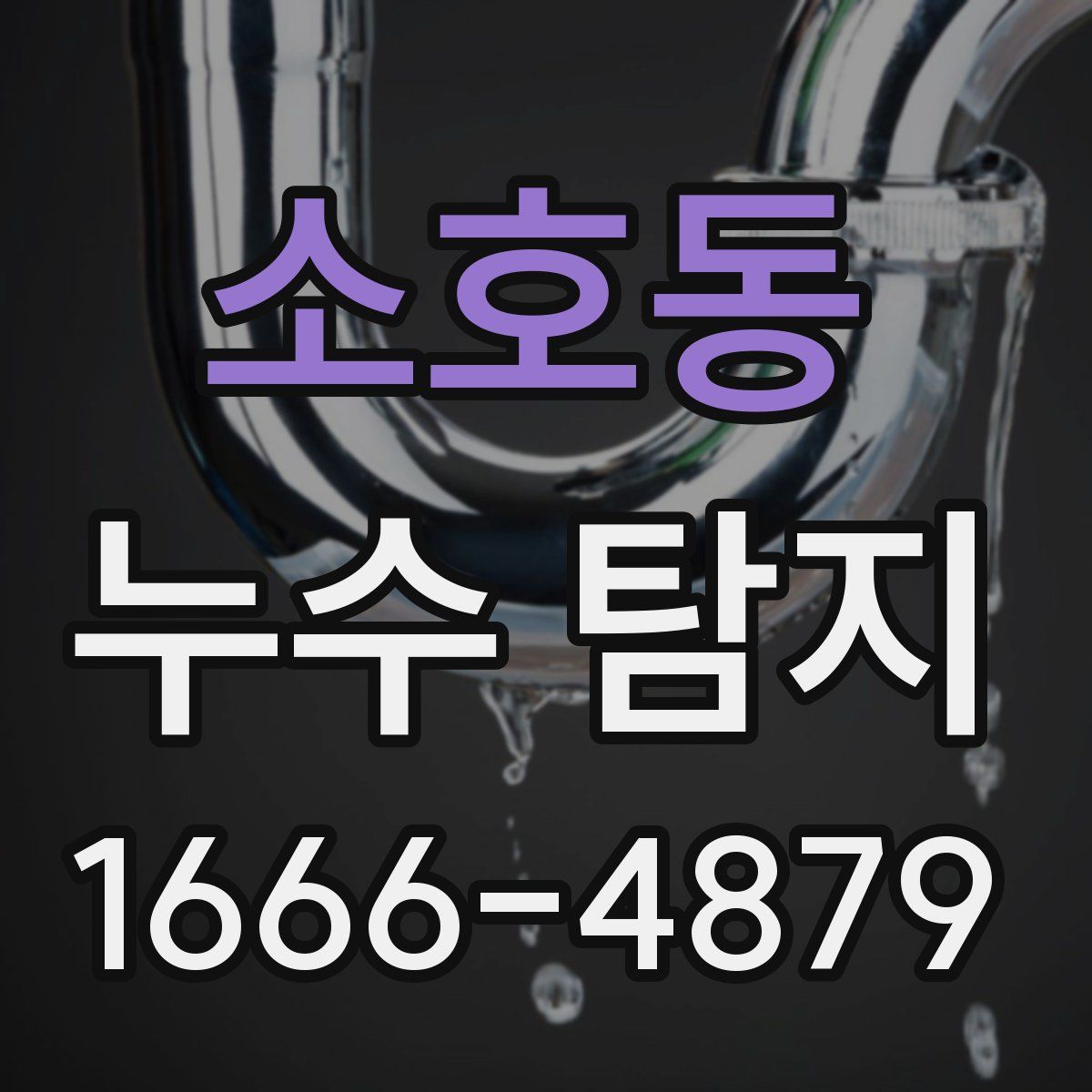 소호동 누수 탐지