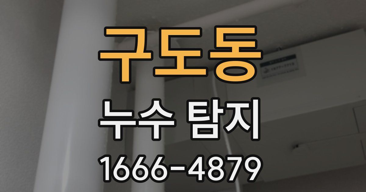 구도동 누수 탐지