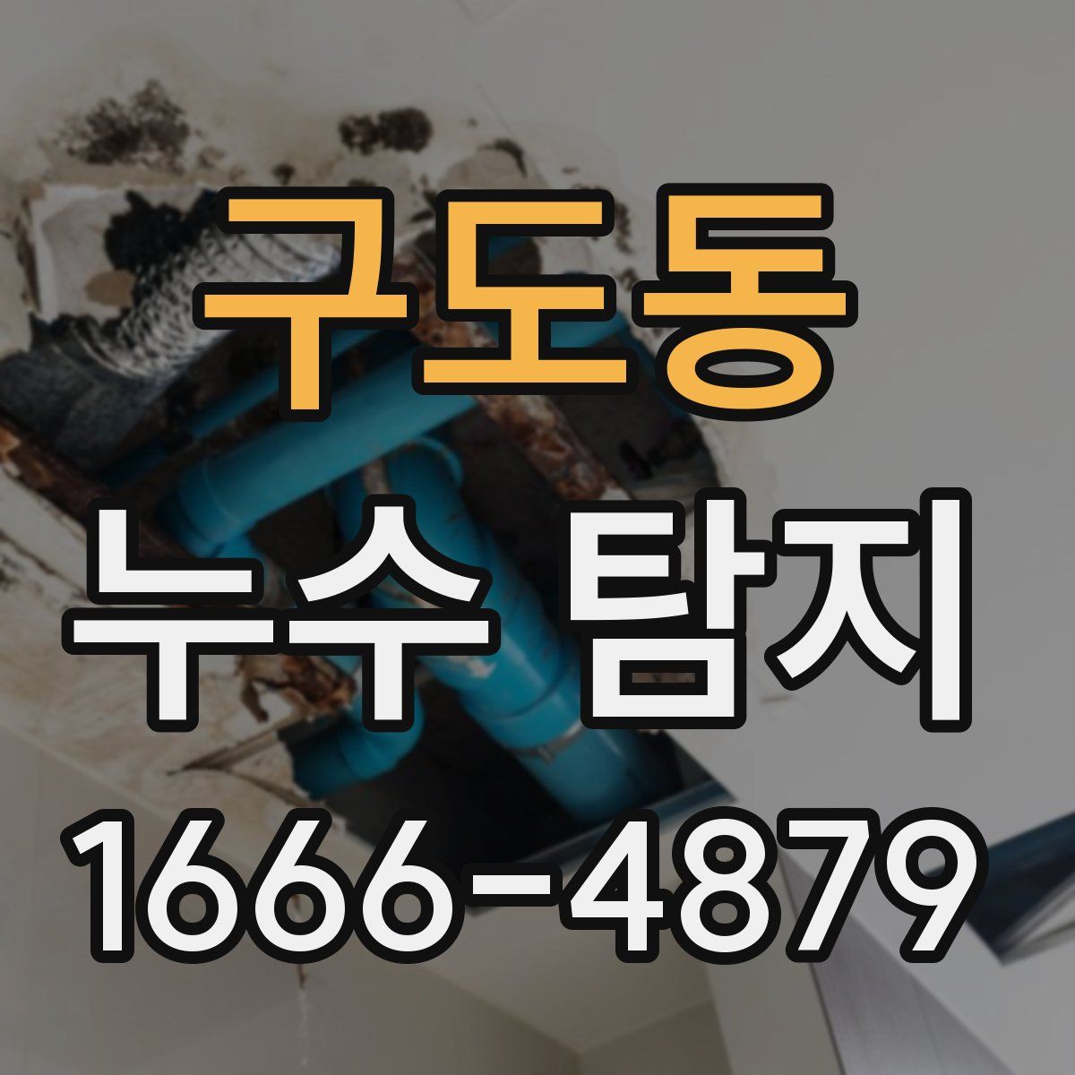 구도동 누수 탐지