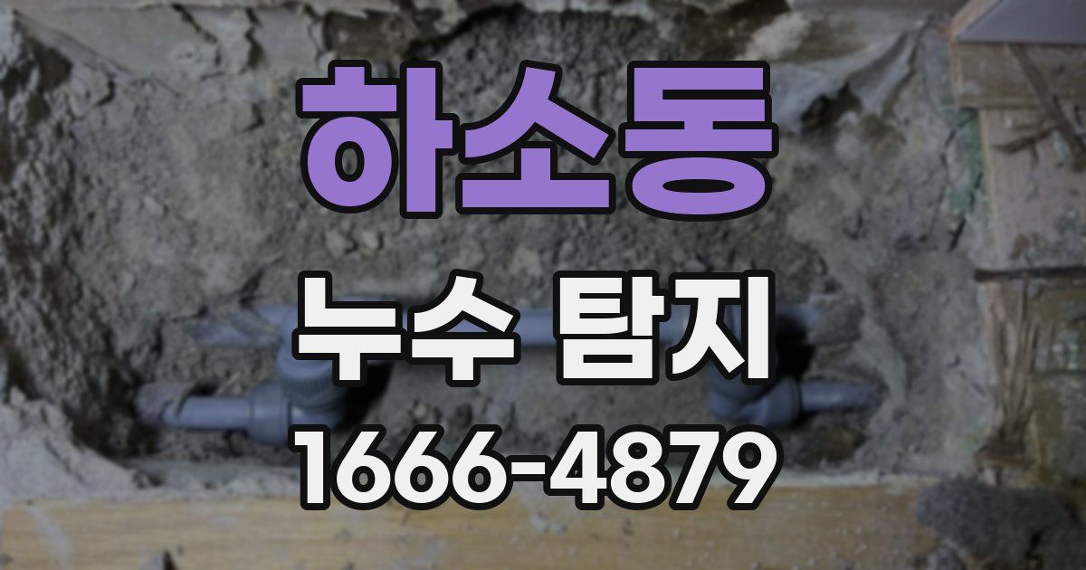 하소동 누수 탐지