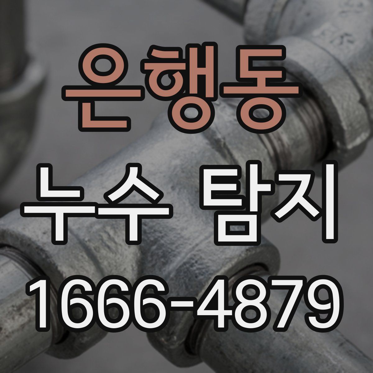 은행동 누수 탐지