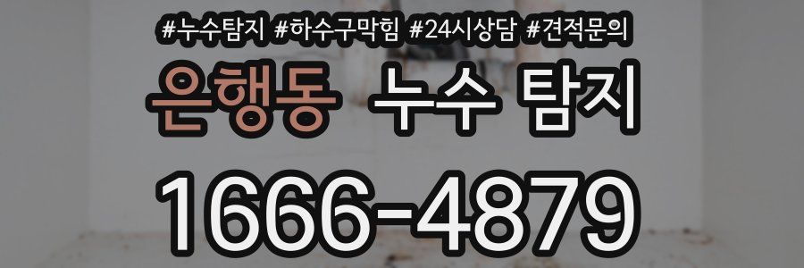 은행동 누수 탐지