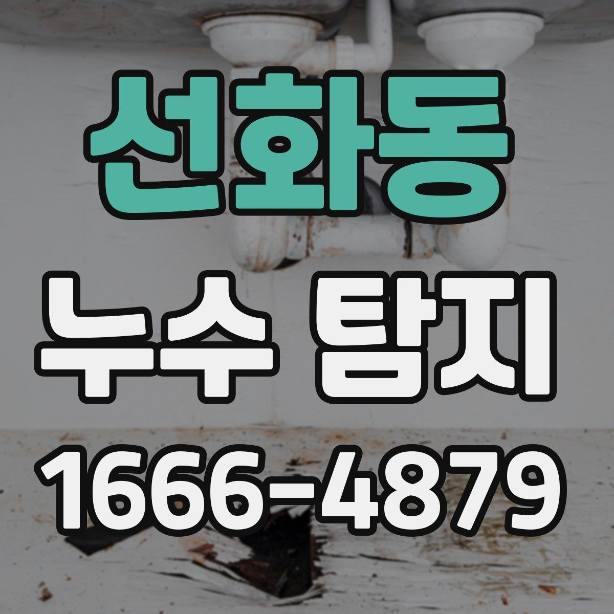 선화동 누수 탐지
