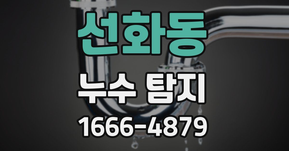 선화동 누수 탐지