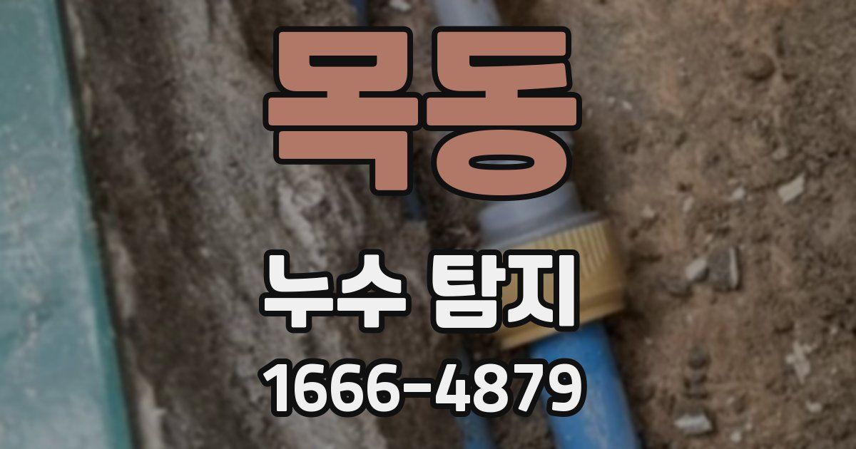 목동 누수 탐지