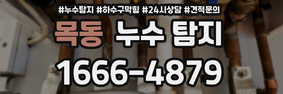 목동 누수 탐지