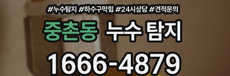 중촌동 누수 탐지