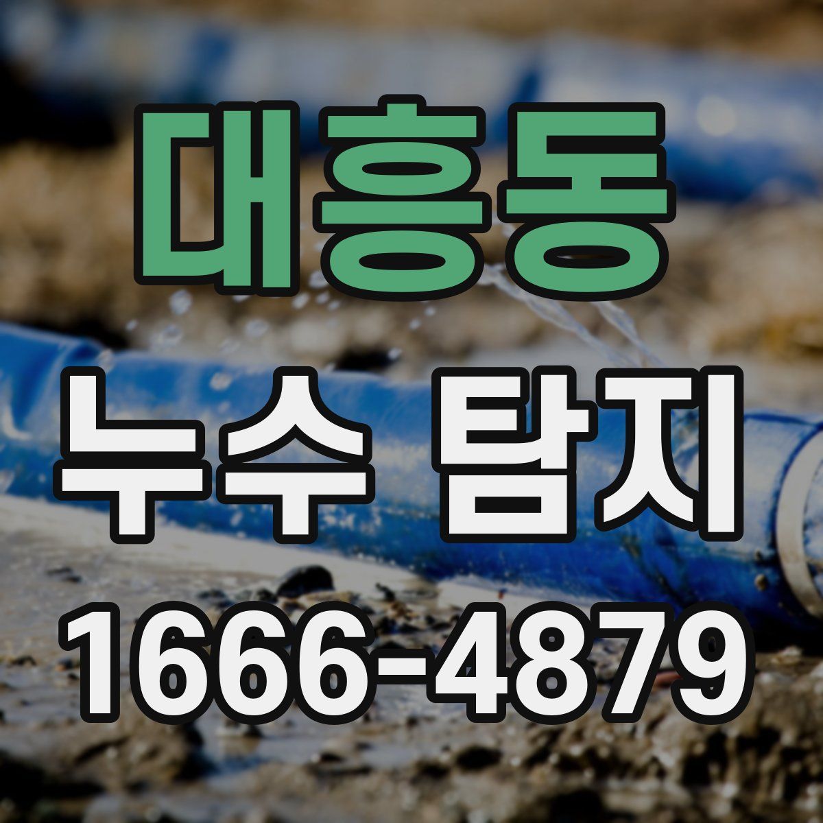 대흥동 누수 탐지