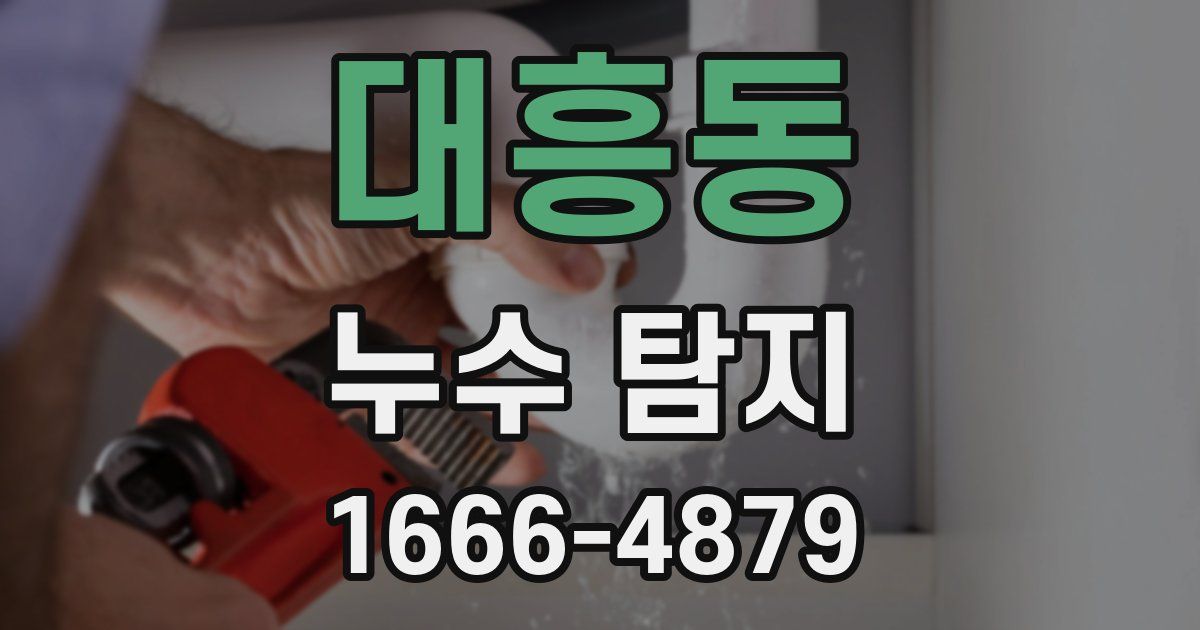 대흥동 누수 탐지