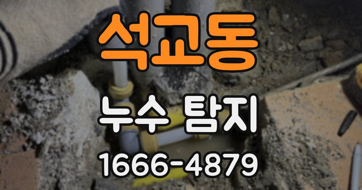 석교동 누수 탐지