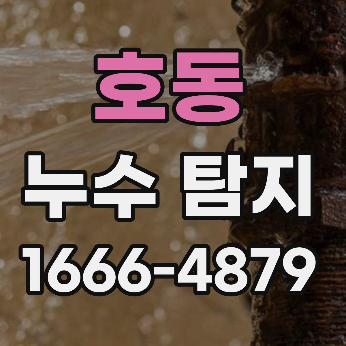 호동 누수 탐지