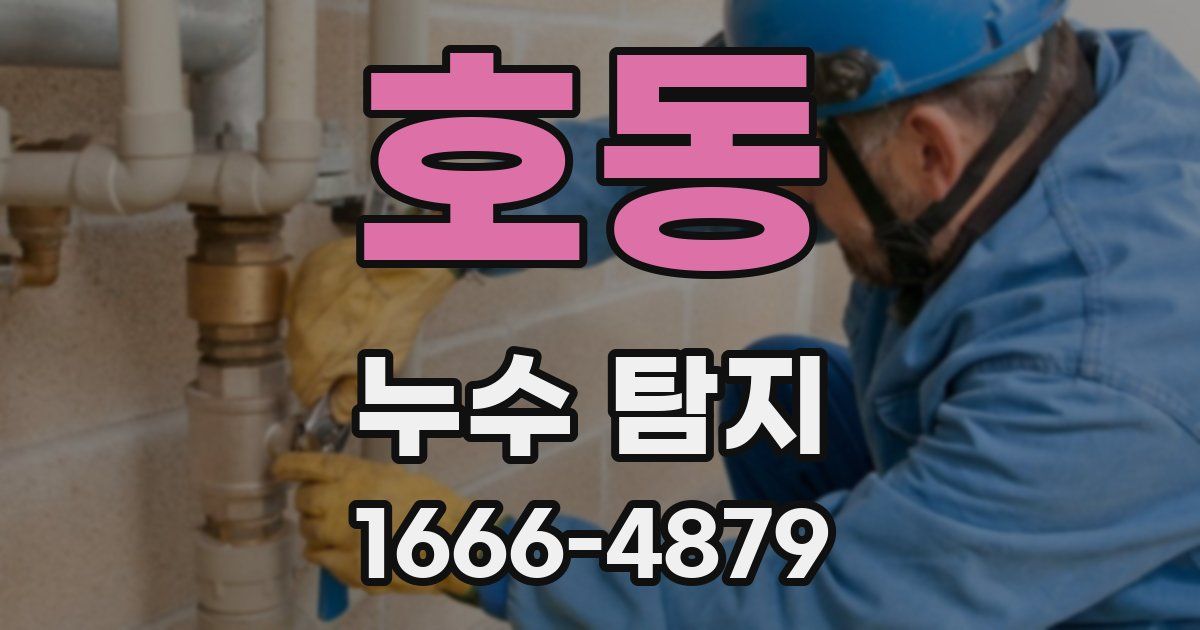 호동 누수 탐지