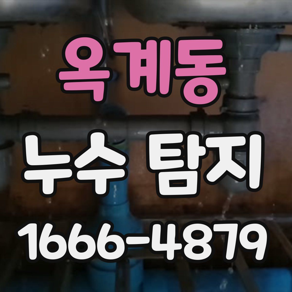 옥계동 누수 탐지