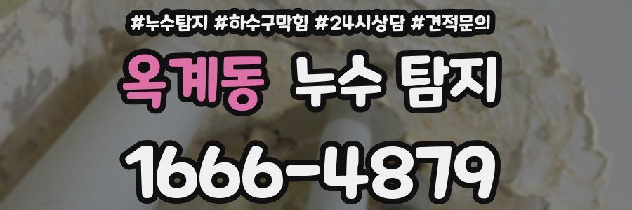 옥계동 누수 탐지