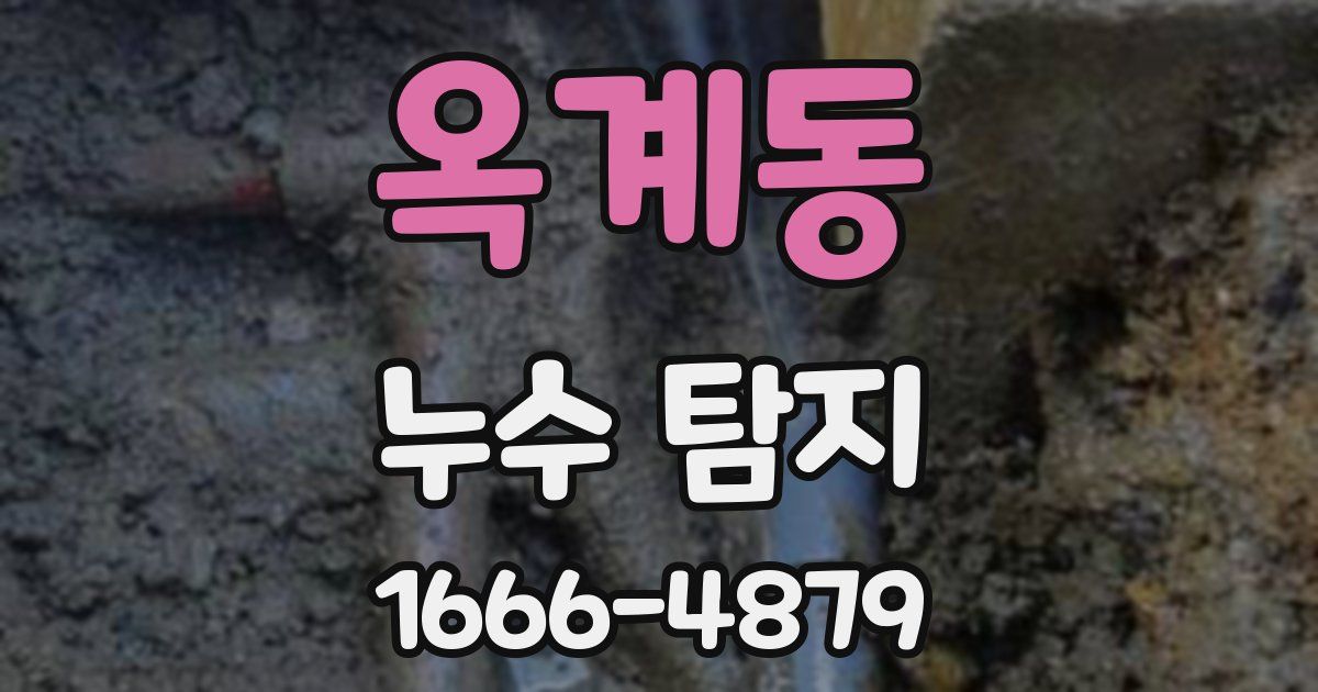 옥계동 누수 탐지
