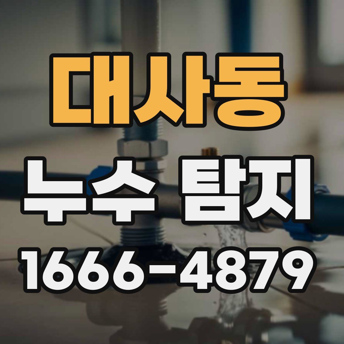 대사동 누수 탐지