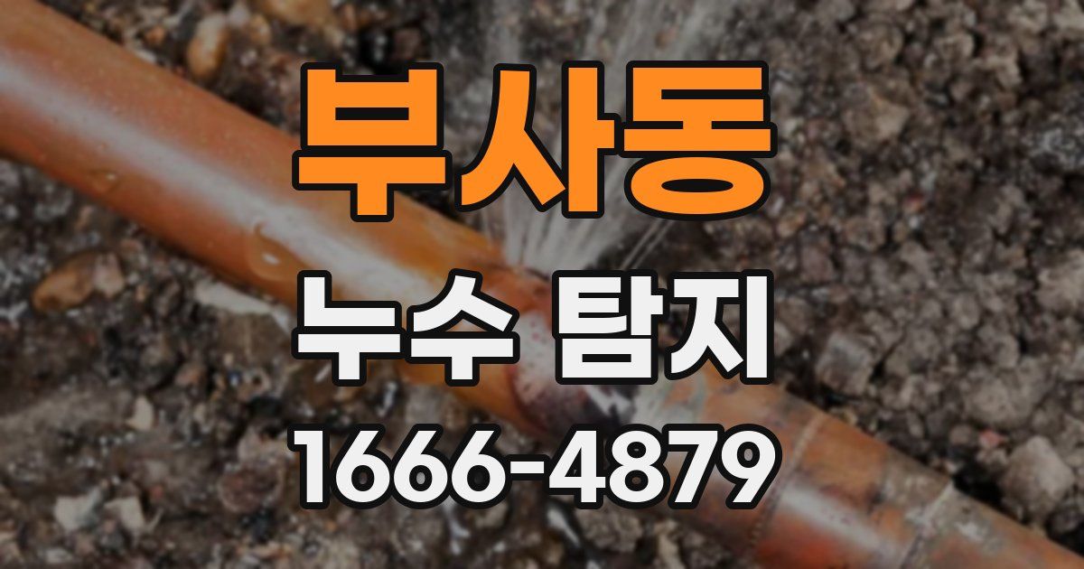 부사동 누수 탐지