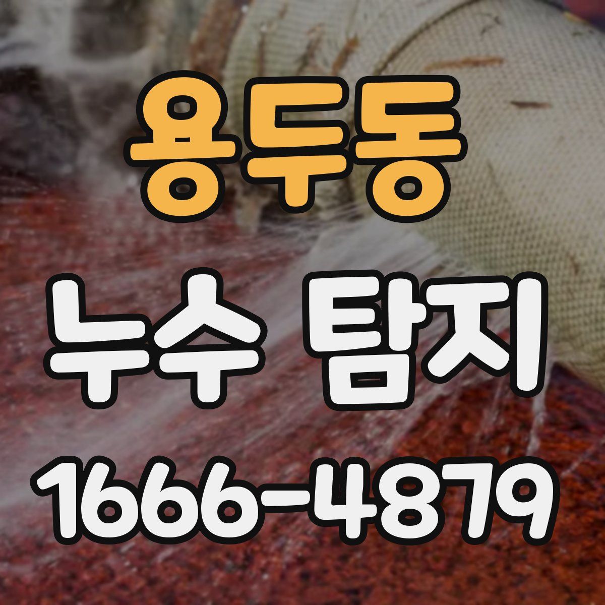 용두동 누수 탐지