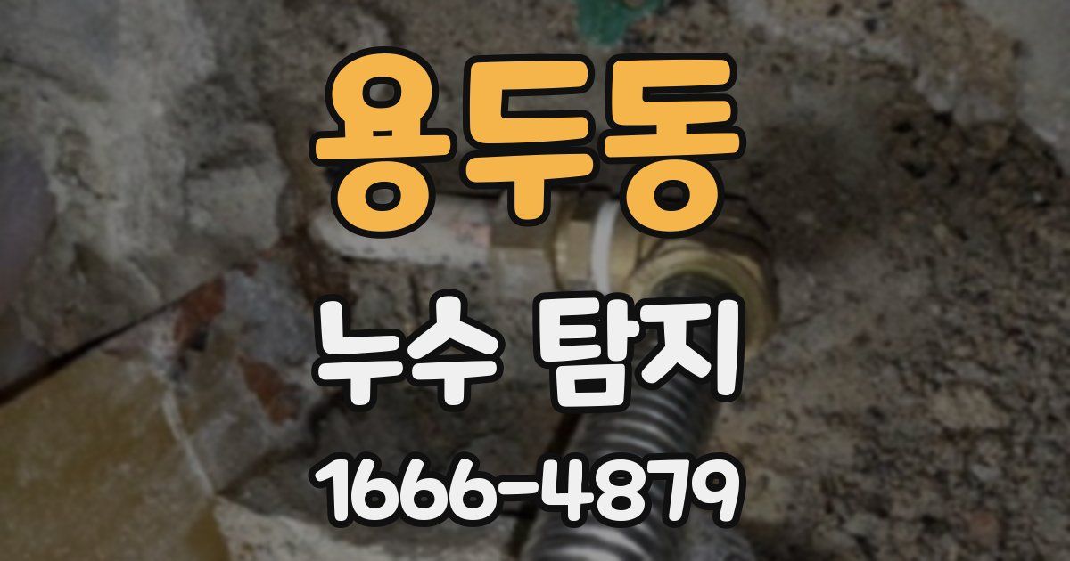 용두동 누수 탐지