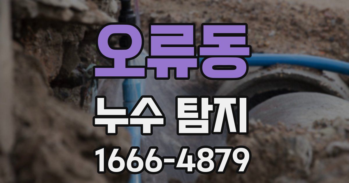오류동 누수 탐지
