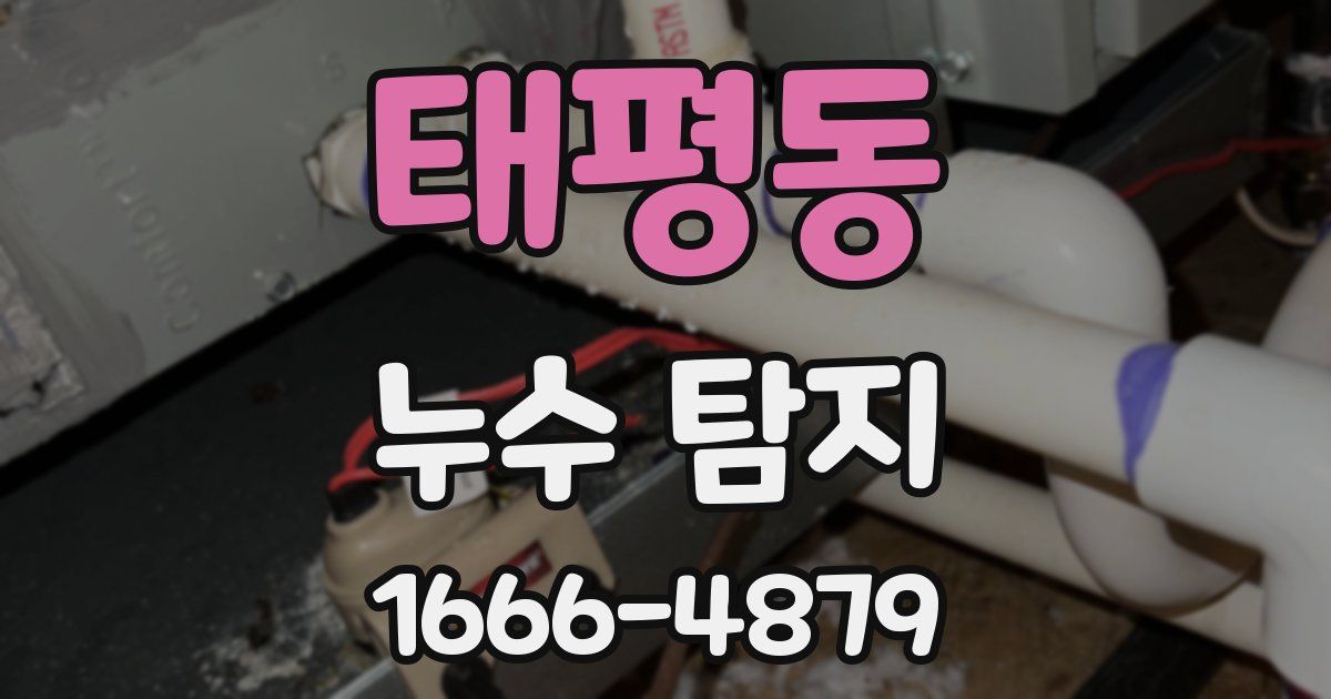 태평동 누수 탐지