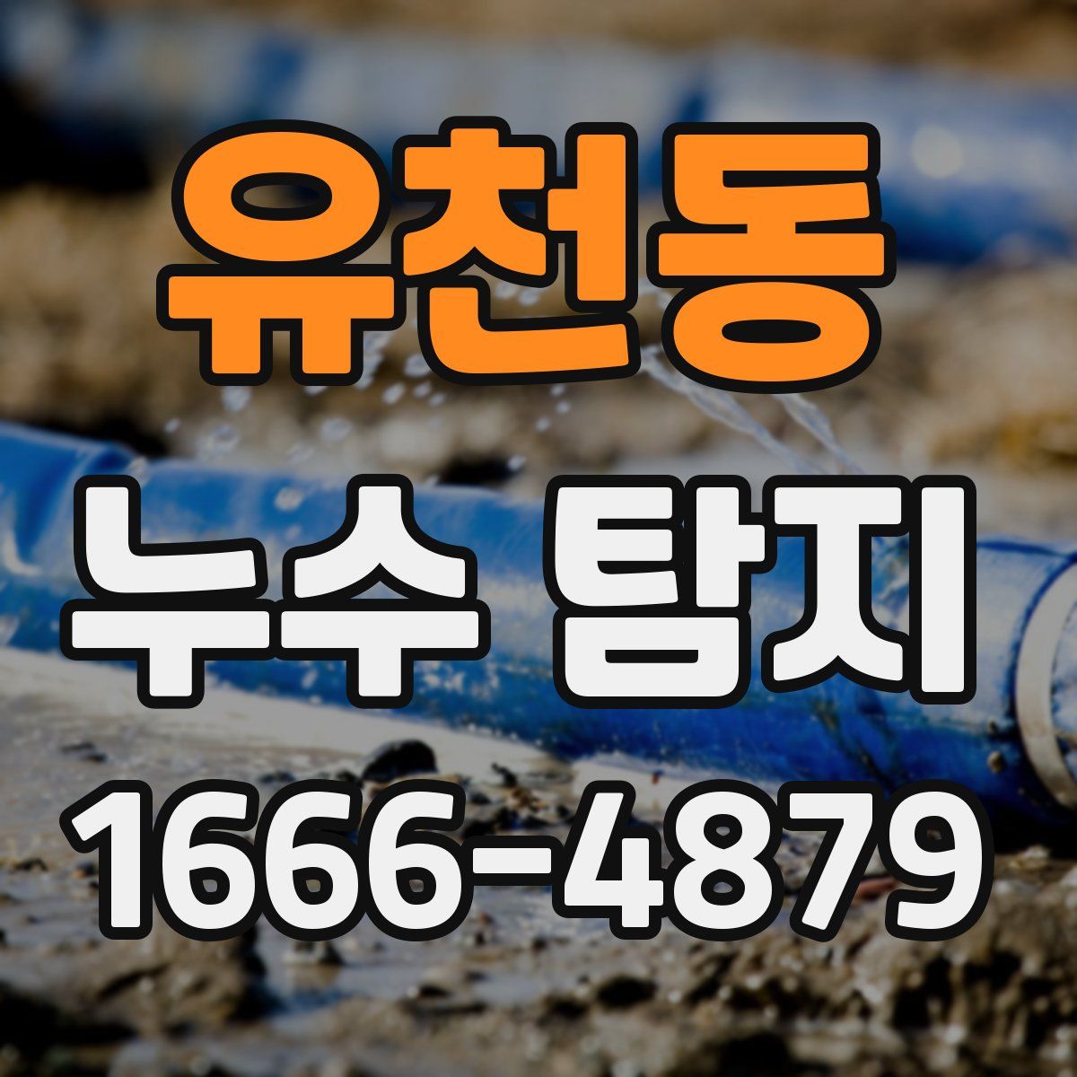 유천동 누수 탐지