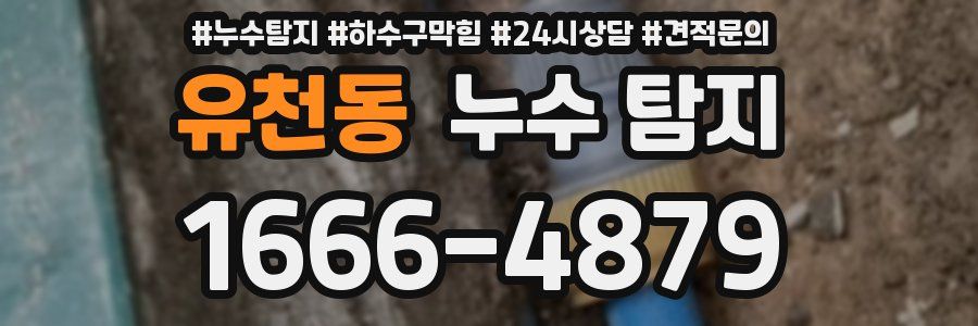 유천동 누수 탐지
