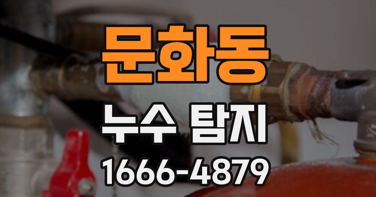 문화동 누수 탐지