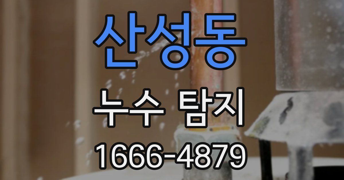 산성동 누수 탐지