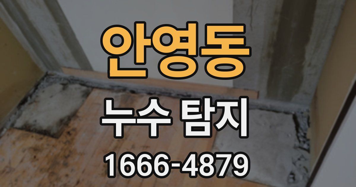 안영동 누수 탐지