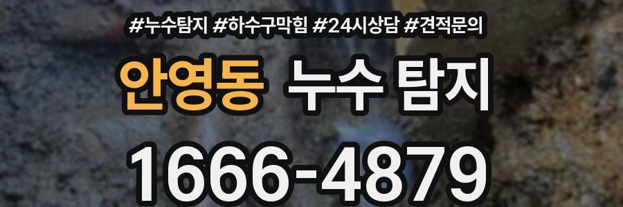 안영동 누수 탐지