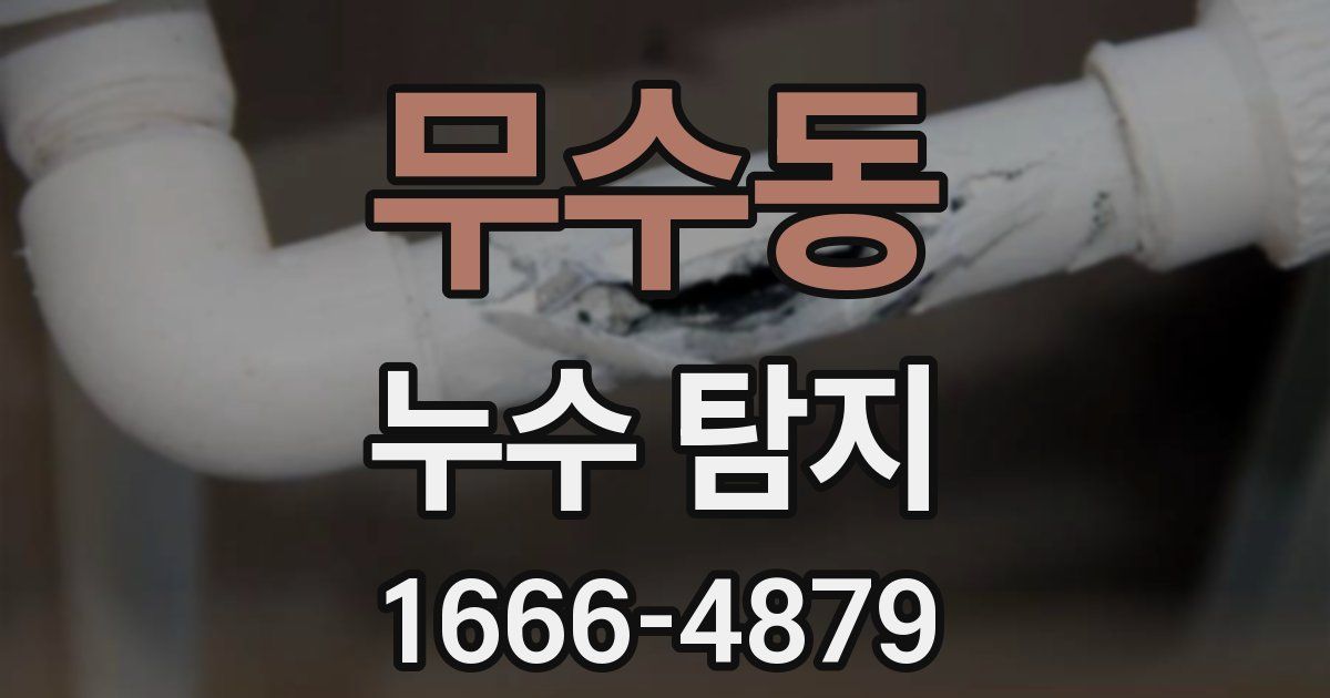 무수동 누수 탐지