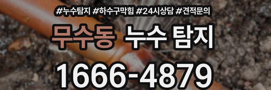 무수동 누수 탐지