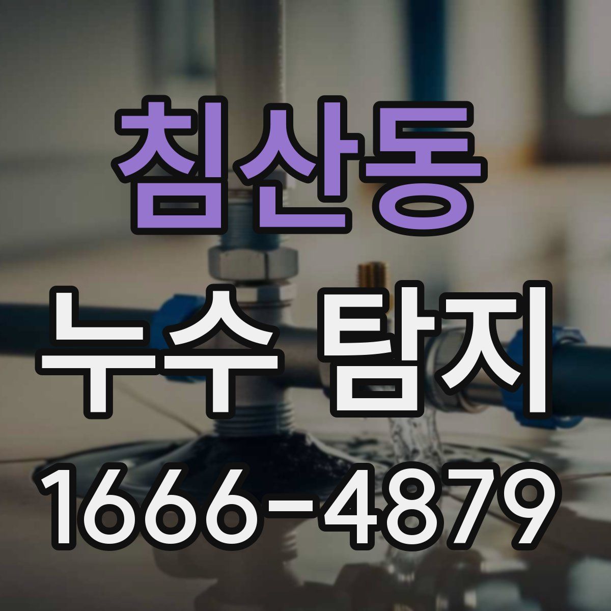 침산동 누수 탐지