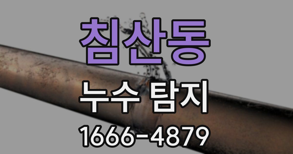 침산동 누수 탐지