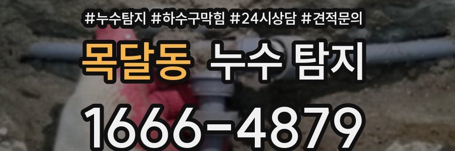 목달동 누수 탐지
