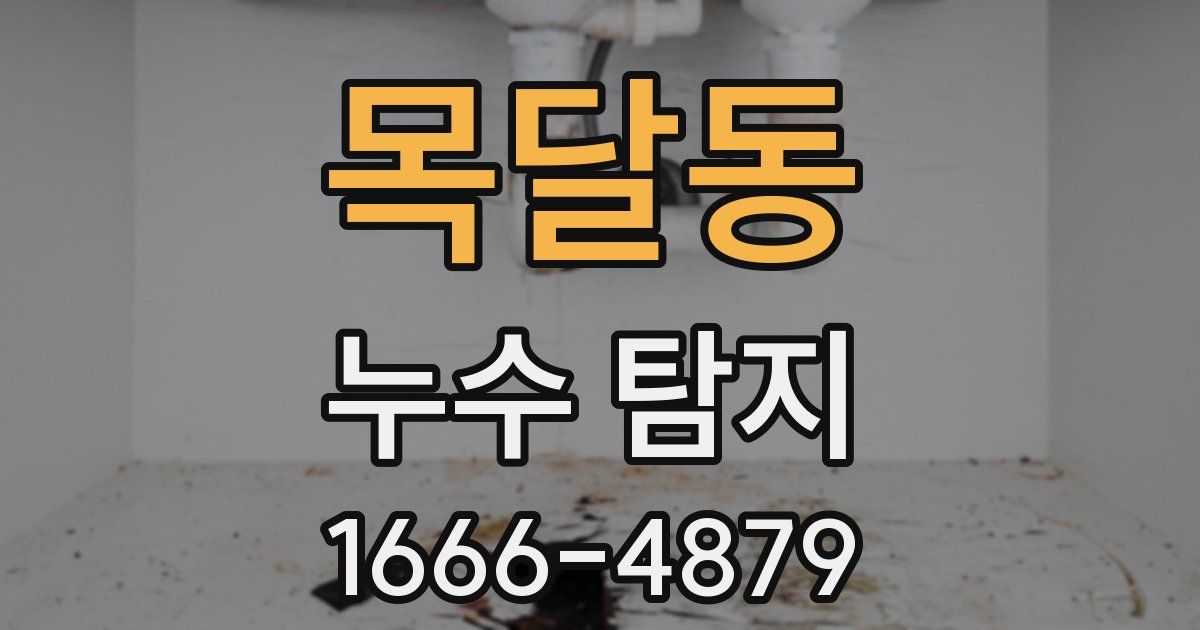 목달동 누수 탐지