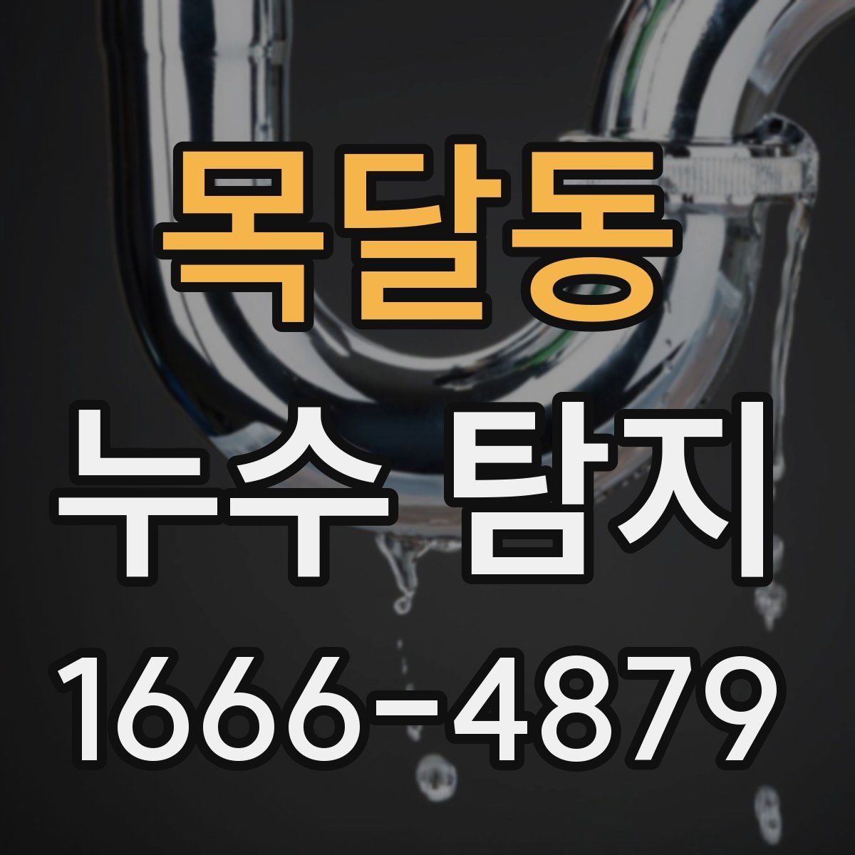 목달동 누수 탐지