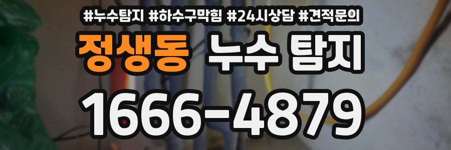 정생동 누수 탐지