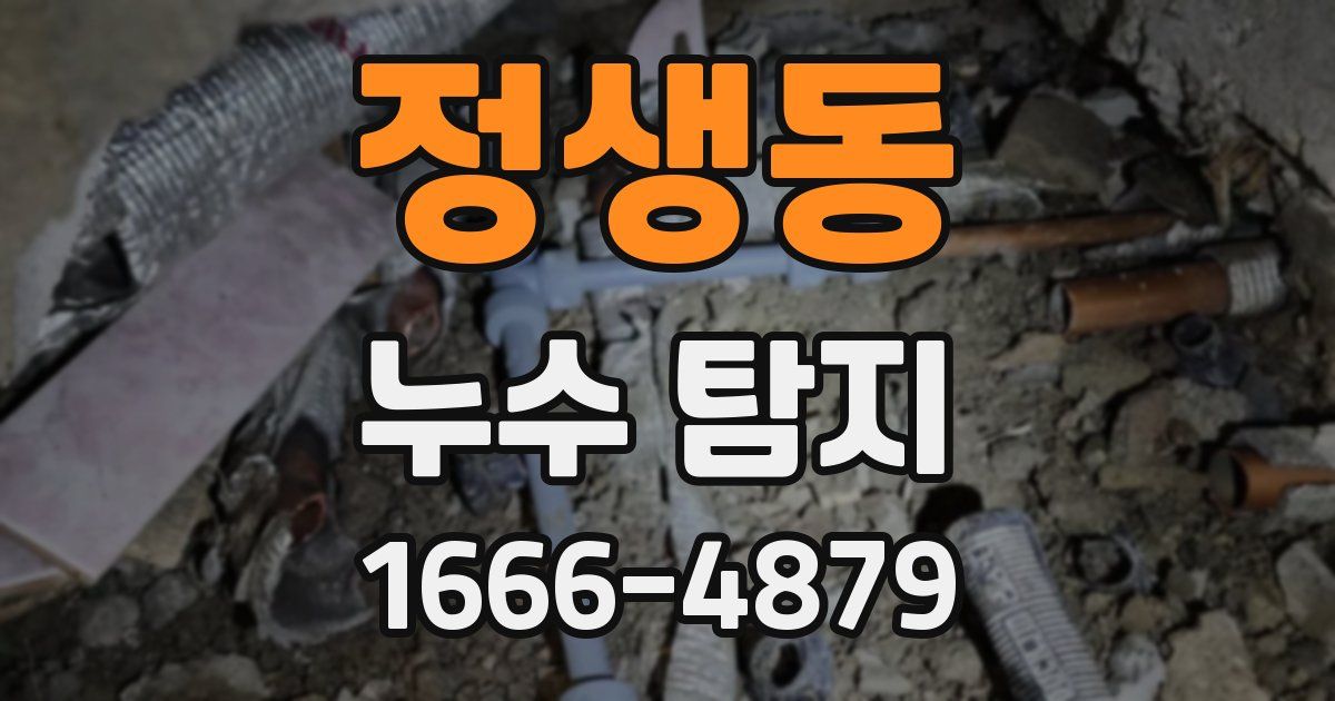 정생동 누수 탐지