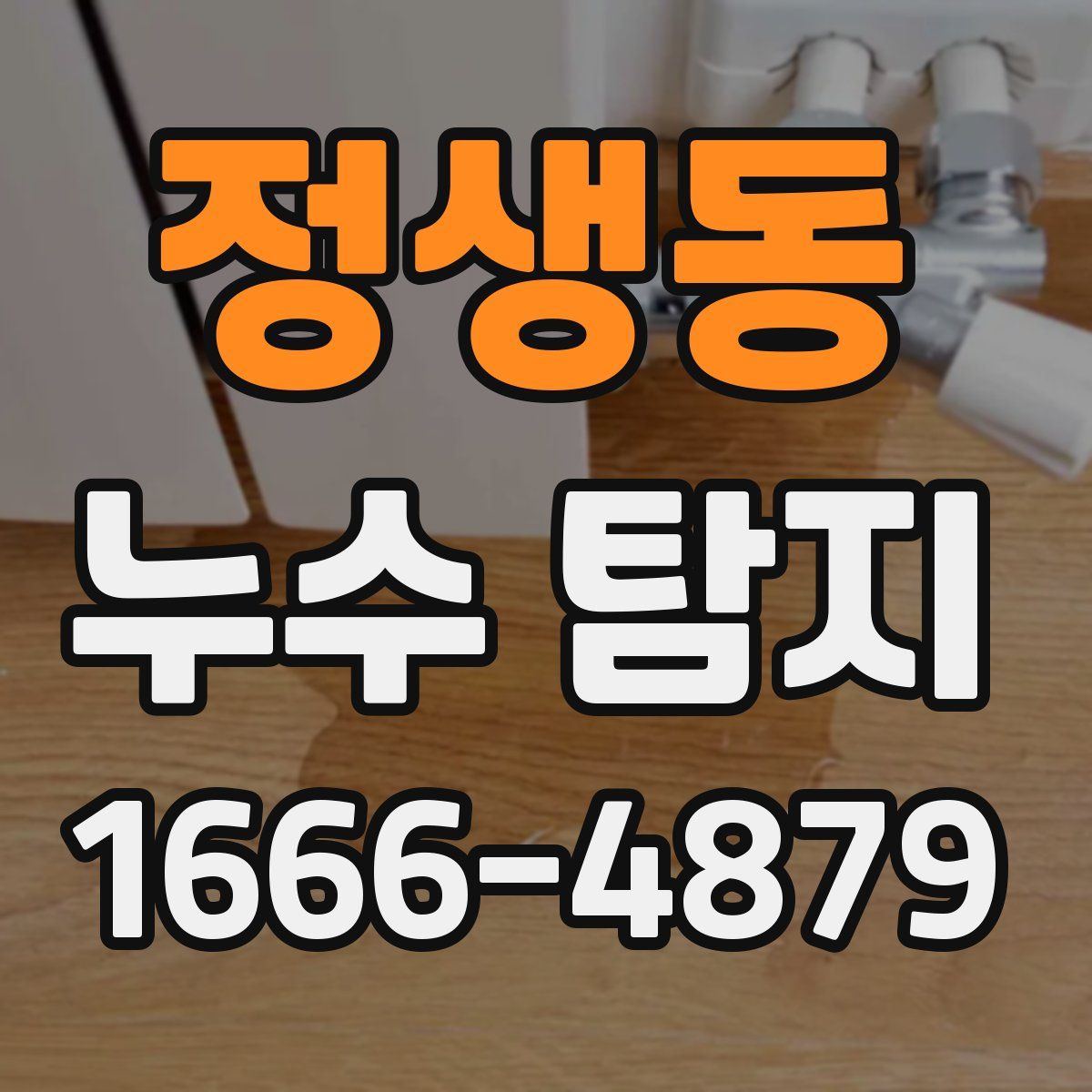 정생동 누수 탐지