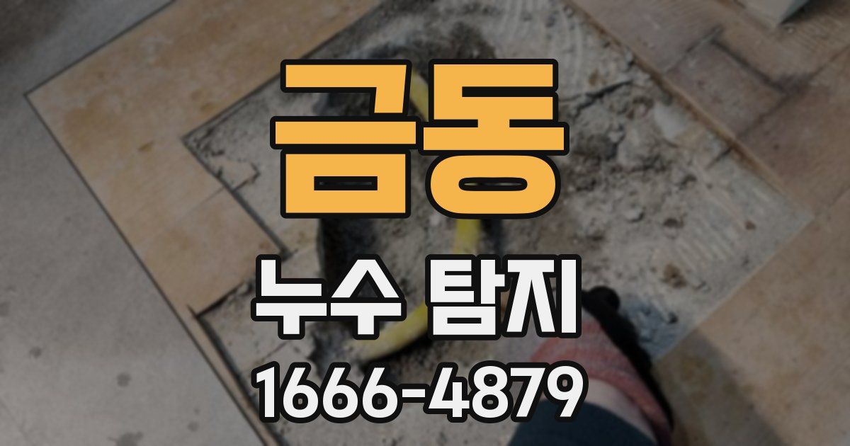 금동 누수 탐지