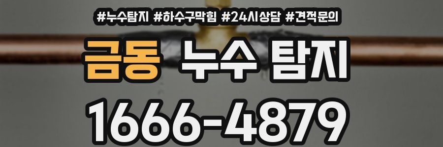 금동 누수 탐지