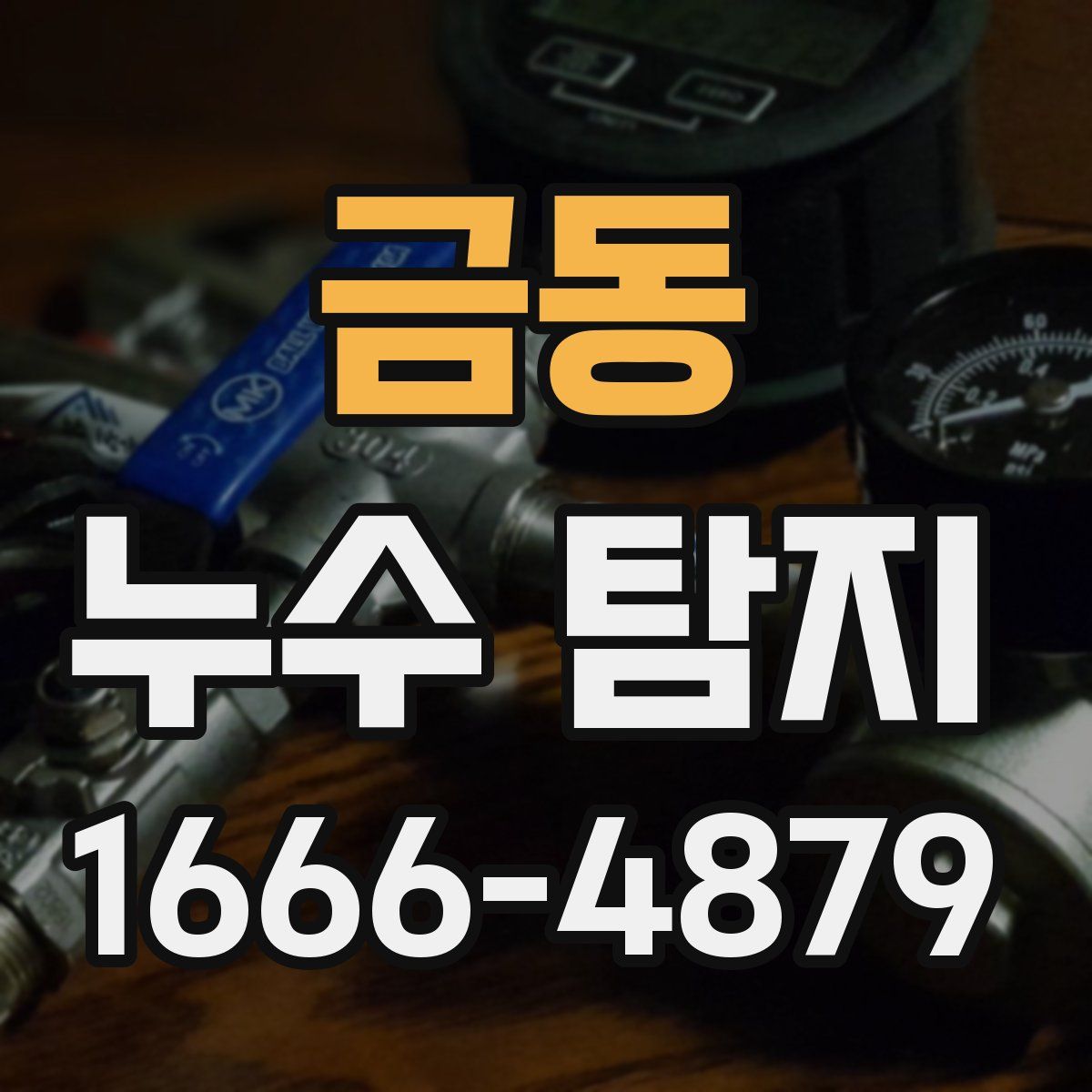 금동 누수 탐지