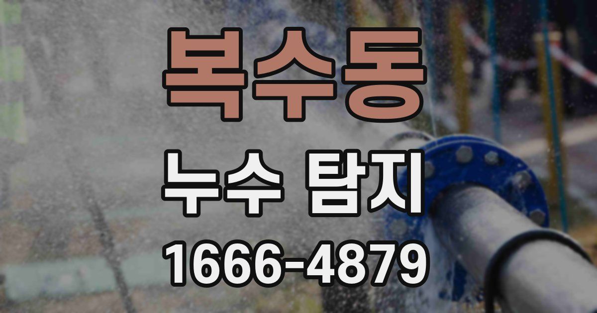 복수동 누수 탐지