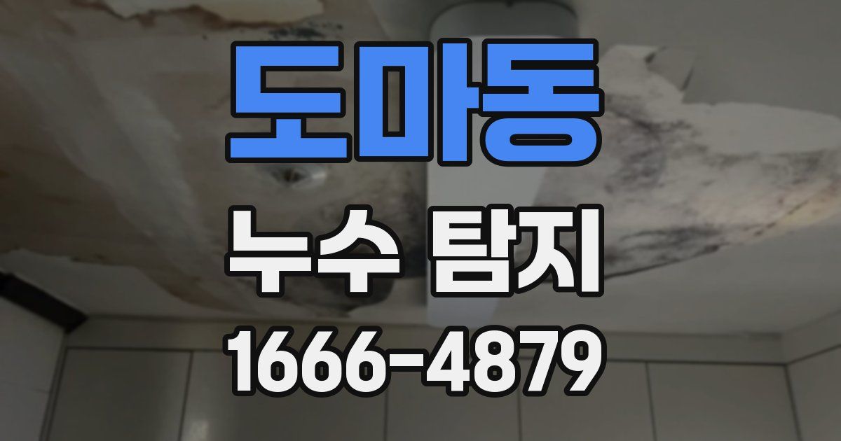 도마동 누수 탐지