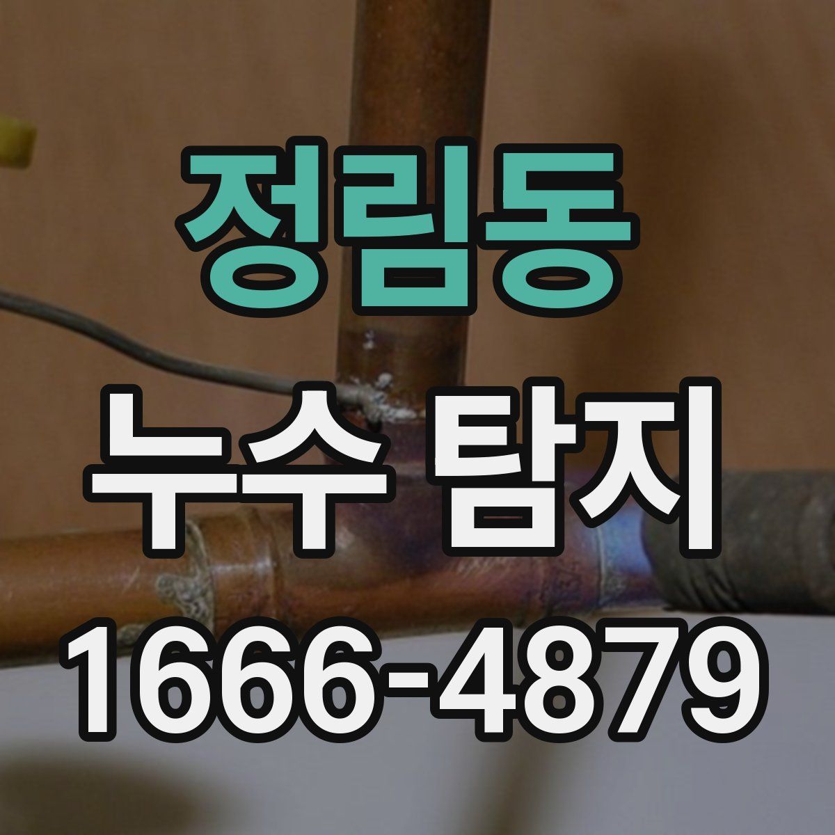 정림동 누수 탐지