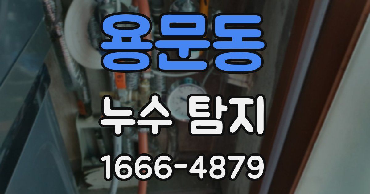 용문동 누수 탐지
