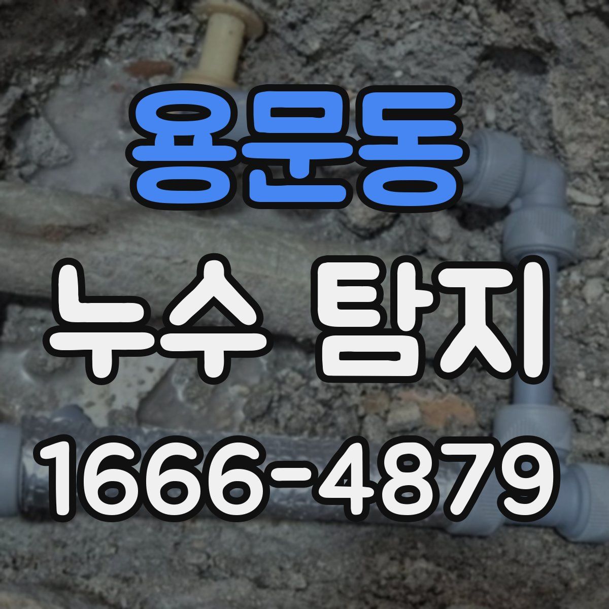 용문동 누수 탐지