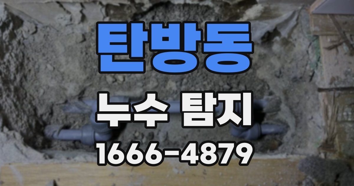 탄방동 누수 탐지